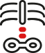 BONE METABOLISM